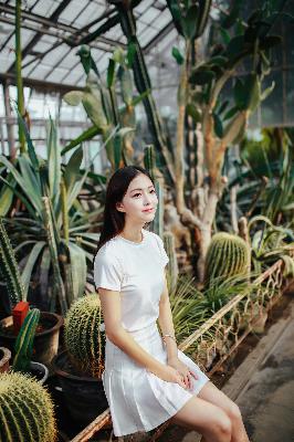 巡回检察组免费观看全集完整版