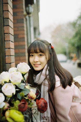 GOGOGO免费完整国语版