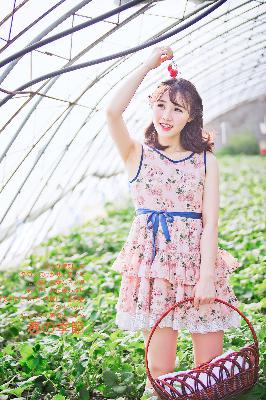 朋友的妈妈在线观看