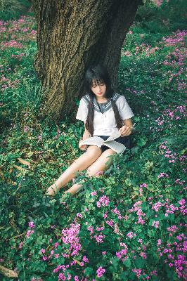 紫川第二季在线观看免费完整版